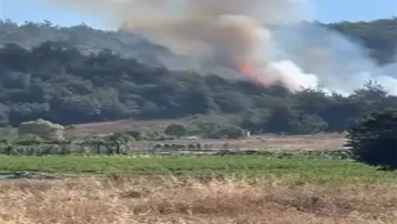 Bursa'da orman yangını. Ekipler müdahale ediyor