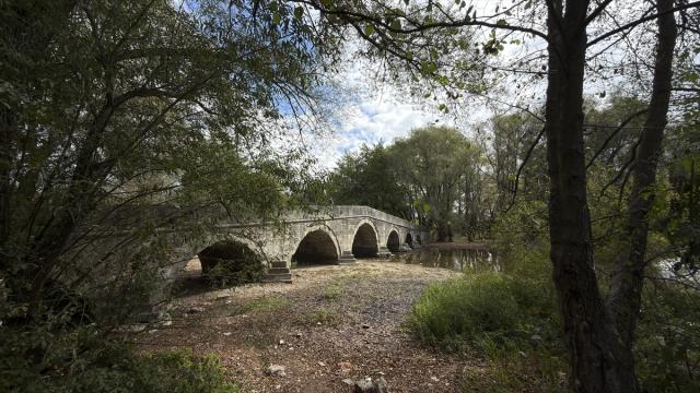 Kuraklık nedeniyle Bosna Nehri'nde su seviyesinde düşüş yaşandı