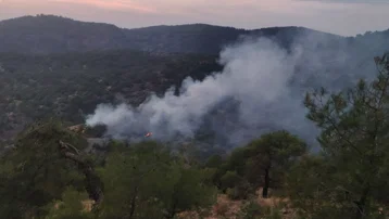 Gaziantep'te orman yangını: 4 dönüm alan zarar gördü