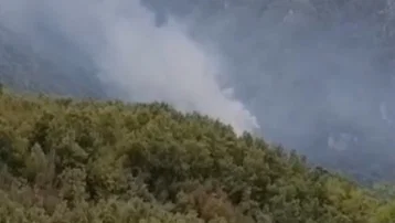 Hatay'da orman yangını. Ekipler müdahale ediyor