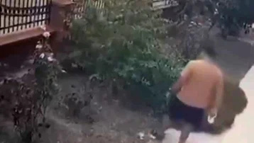 İzmir'de yavrulu kediye tekme atan saldırgan yakalandı