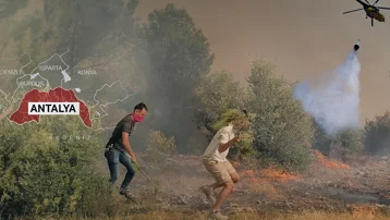 Adana, Antalya ve Mersin'de orman yangını. Alevlerle mücadele sürüyor, yüzlerce ev tahliye edildi