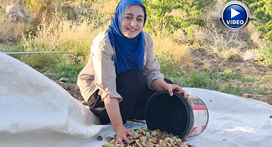Kadın emeği toprağı berekete dönüştürdü!