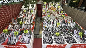 1 Eylül'de "Vira Bismillah" dediler. Bolluk tezgaha yansıdı