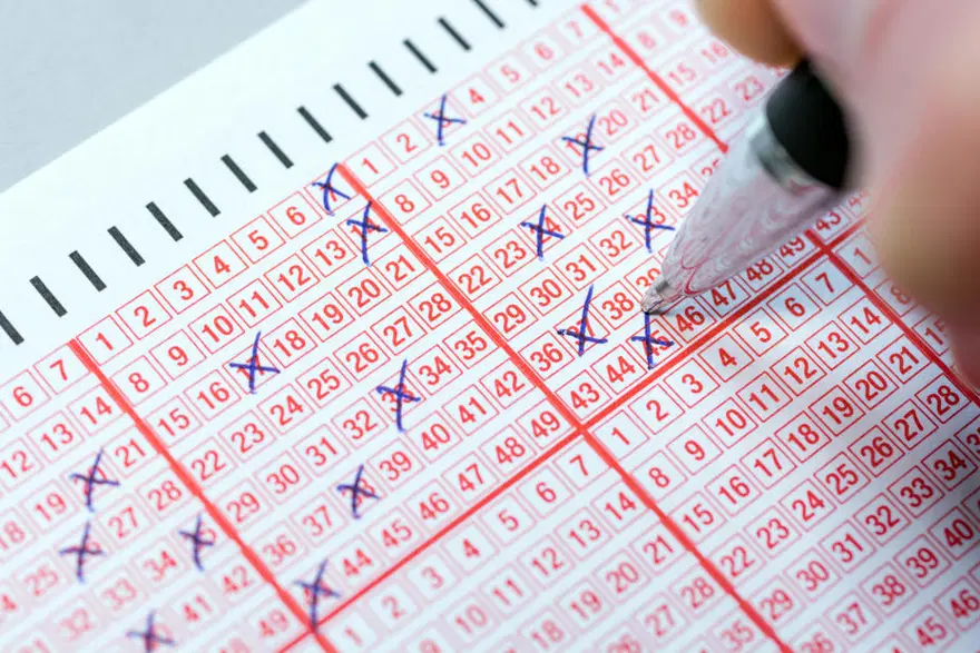 Süper Loto çekiliş sonuçları belli oldu: MPİ Süper Loto kazandıran numaraları sorgulama ekranı 1