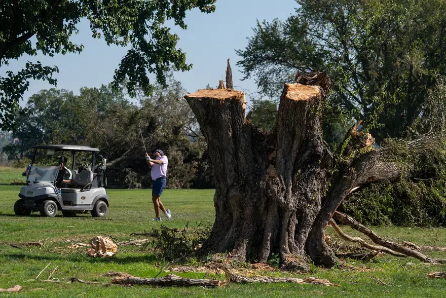 Trump'ın golf sahası projesindeki ağaç kesimine yeni yargı freni