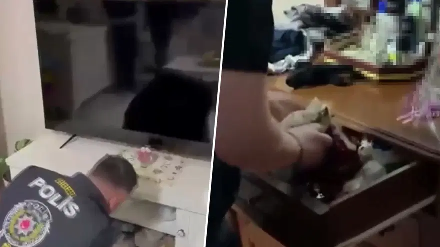 DÖRT ŞÜPHELİ TUTUKLANDI 2